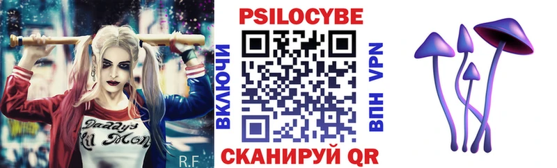 купить наркотики цена  Зубцов  Галлюциногенные грибы Psilocybine cubensis 